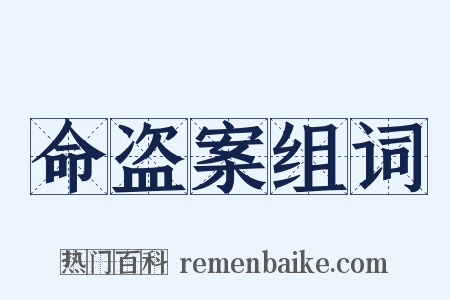 命盗案组词是什么意思的图片